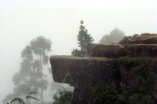 Coonoor and Ooty