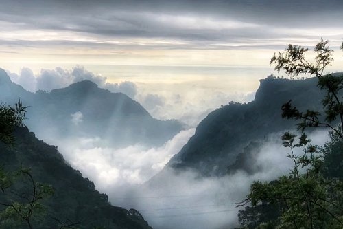 Coimbatore to Coonoor to Ooty