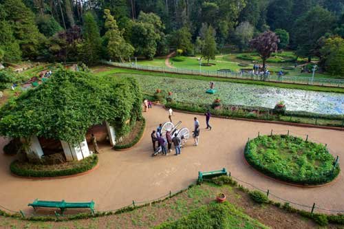 Glimpse Ooty Honeymoon