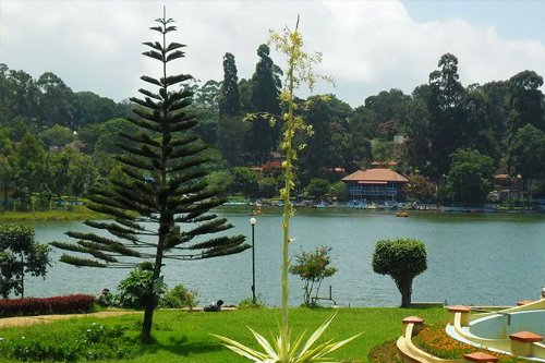 Yercaud local attractions